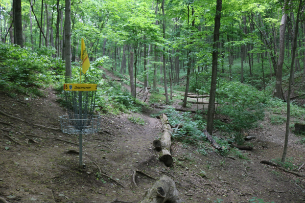 Ein Disc-Golf-Platz in einem Waldgebiet mit einem Korb, einem gelben Schild mit Text, umgeben von Bäumen, Pflanzen und verstreuten Holzstämmen.