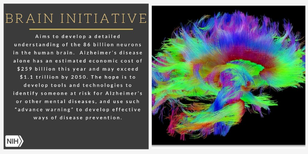 Ein Plakat mit einer bunten Illustration eines Gehirns auf der rechten Seite und Text auf der linken Seite, der das Ziel der Initiative Brain Initiative beschreibt, ein detailliertes Verständnis der 86 Milliarden Neuronen im menschlichen Gehirn zu entwickeln.