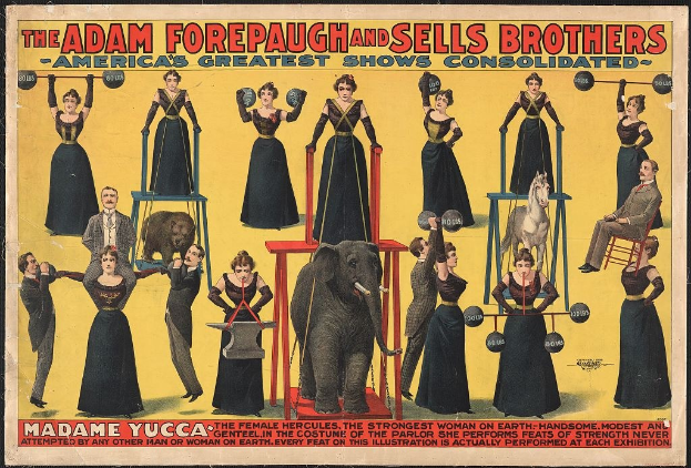 Plakat für die vereinigte Zirkusshow von Adam Forepaugh und Sells Brothers mit Performern auf Hockern und einem zentralen Elefanten