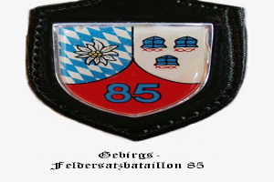 Ein rundes Abzeichen mit der Zahl 85 und deutschem Text unten, das Logo der bayerischen Fußballmannschaft darstellend.