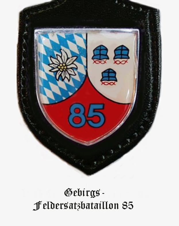 Ein rundes Abzeichen mit der Zahl 85 und deutschem Text unten, das Logo der bayerischen Fußballmannschaft darstellend.