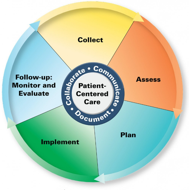 Ein kreisförmiges Diagramm mit der Bezeichnung "patientenorientierte Pflege" mit vier farbigen Abschnitten, von denen jeder mit einer spezifischen Pflegeart beschriftet ist.