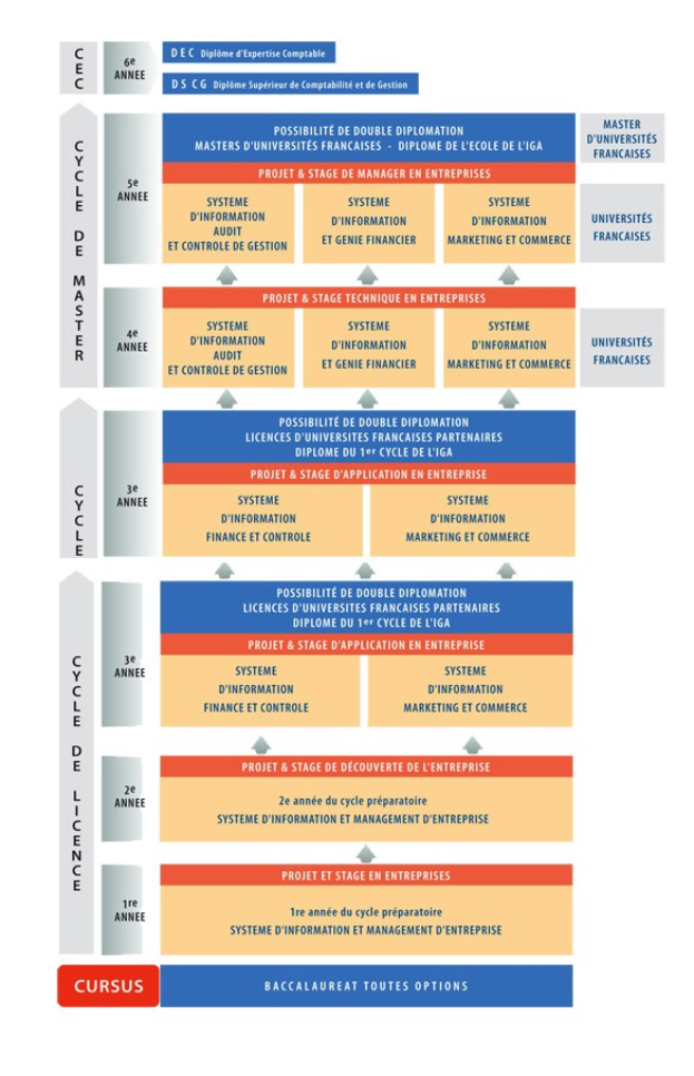 Diagramm, das die organisatorische Struktur eines Unternehmens mit Phasen des Unternehmenswachstums zeigt, die durch Pfeile verbunden sind, wobei jede Phase mit Rollen und Verantwortlichkeiten beschrieben ist.