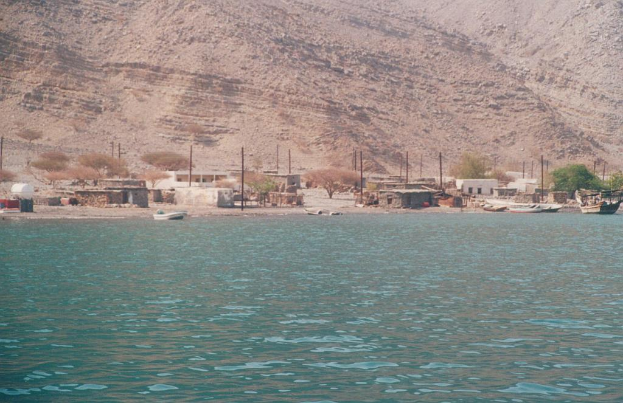 Boote auf einem Fluss mit Bäumen, Häusern und Pfählen auf der gegenüberliegenden Uferseite und einem Berg im Hintergrund.