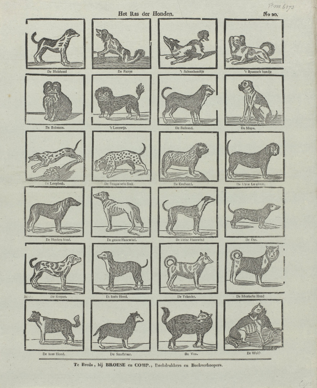 Ein altes Buch, das auf einer Seite mit Abbildungen und Beschreibungen verschiedener Hunderassen geöffnet ist.