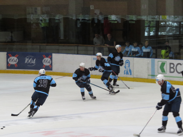 Eine Gruppe von Menschen spielt Eishockey auf einer Eisfläche, trägt Sportkleidung, Helme und Schlittschuhe und hält jeweils einen Hockey-Schläger, während Zuschauer durch die Glaswände im Hintergrund sichtbar sind.