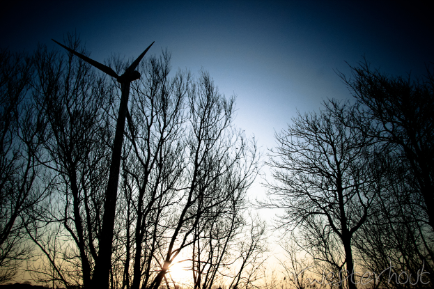Eine Windmühle vor trockenen Bäumen unter einem blauen Himmel.