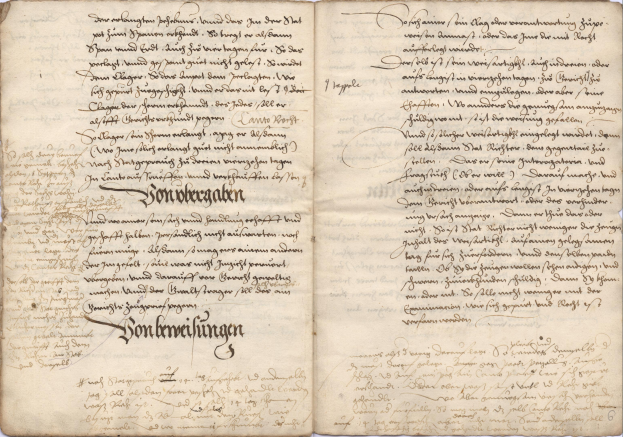 Ein altes Buch, das auf einer Seite mit handgeschriebenem Text aufgeschlagen ist, der als Geburts- und Taufregister aus Deutschland gilt.