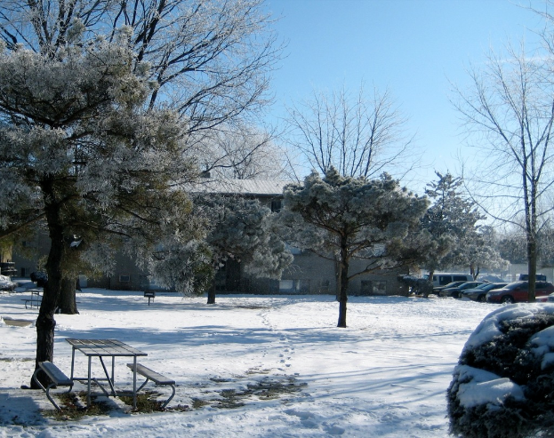 Eine winterliche Landschaft mit einer hölzernen Bank und Bäumen im Vordergrund und einem Holzhäuschen mit einem Dach aus Schindeln und geparkten Autos im Hintergrund.