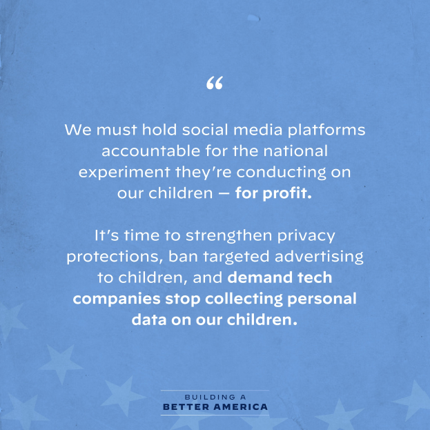 Ein Plakat mit einem Zitat aus Building a Better America, das besagt: "Wir müssen Social-Media-Plattformen für das nationale Experiment zur Rechenschaft ziehen, das sie an unseren Kindern durchführen - zum Profit.", geschmückt mit Sternen.