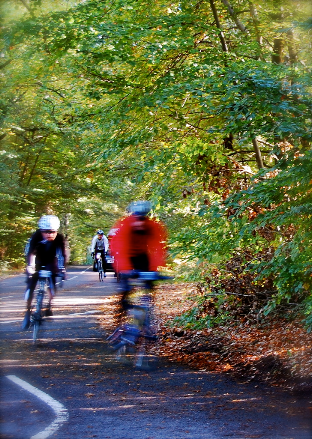 Eine schwarze Straße mit Fahrradfahrern, mit grünen Pflanzen und Bäumen im Hintergrund.