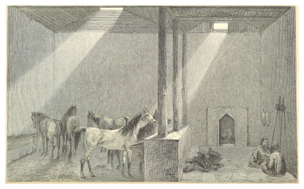 Ein handgezeichneter Raum mit zwei Pferden, zwei sitzenden Personen, verstreuten Gegenständen und Text unten.