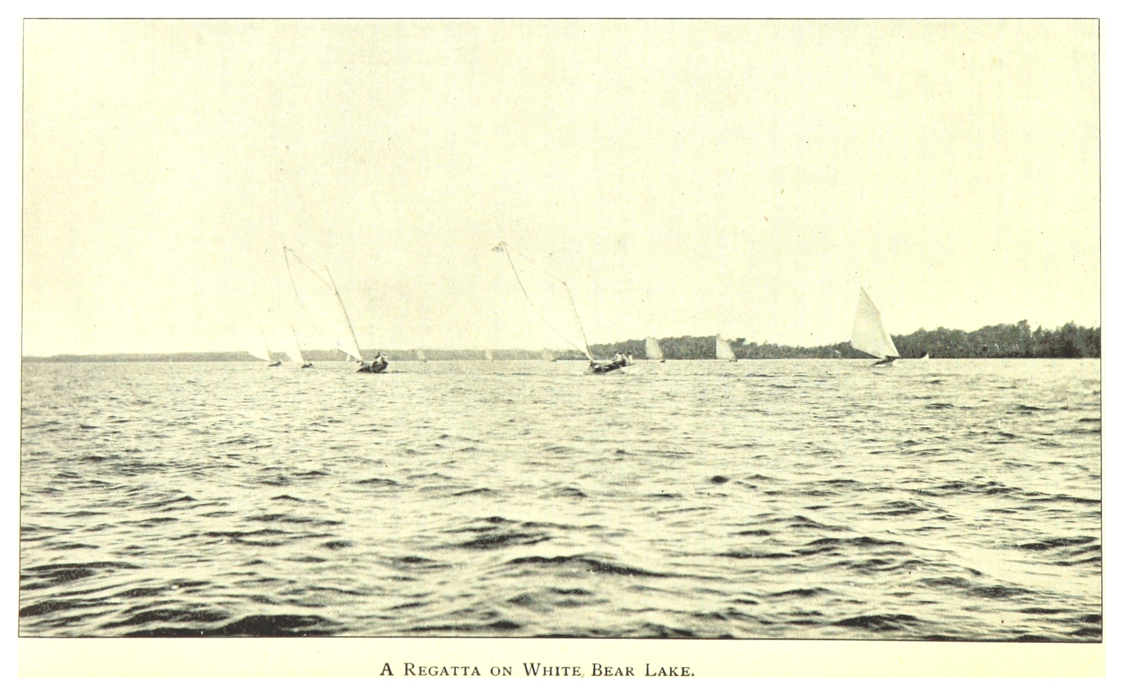 Regatta am Weißen Bärensee mit Booten auf dem Wasser, Bäumen im Hintergrund und Himmel darüber.