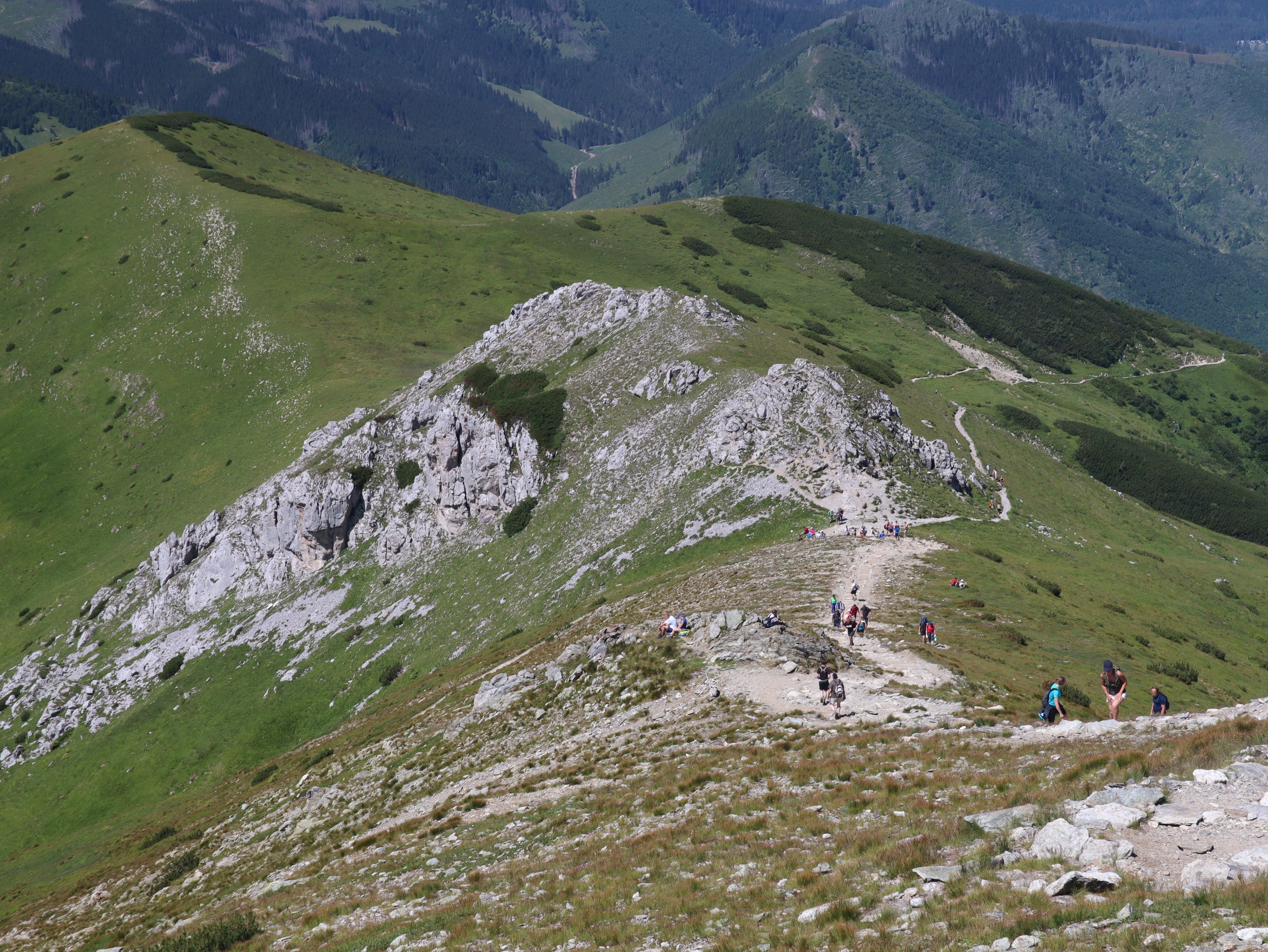 Gruppe von Menschen beim Wandern auf einem Berghang mit grünem Gras und felsigem Gelände, der Himmel ist im Hintergrund sichtbar.