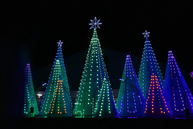 Weihnachtsbaum-Aktion von CDU und JU erfolgreich abgeschlossen Koblenz: Weihnachtsbäume kehren in den Wald zurück