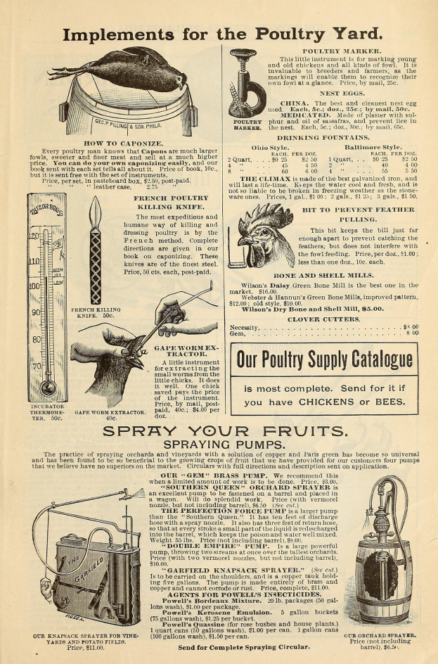 Alte Werbung für einen Geflügelhof mit Text und bunten Bildern von Geflügelprodukten, einschließlich Informationen zu Zutaten, Preisen und Anweisungen zur Verwendung.