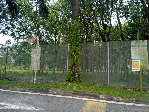 Eine Straße mit einer Hecke an der Seite, die Schilder mit Text trägt, wahrscheinlich eine Ankündigung von Landverkauf, mit Bäumen und einem klaren blauen Himmel im Hintergrund.