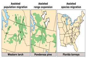 Ein Plakat mit einer Karte der Vereinigten Staaten, auf der hervorgehobene Regionen und begleitender Text über unterstützte Bevölkerungsmigration zu sehen sind.