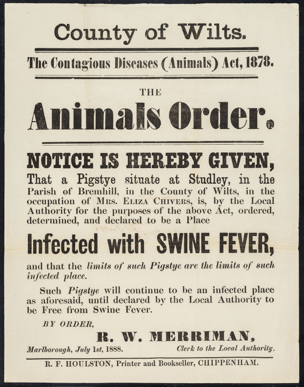 Ein Plakat mit Text, das das Tierseuchengesetz von 1878 in Wiltshire ankündigt.