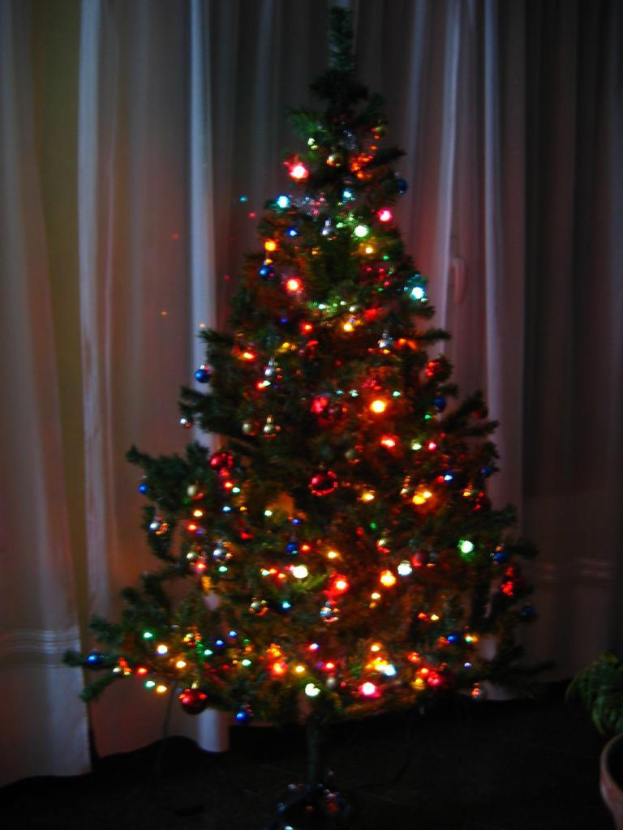 Ein mit Lichtern geschmückter Weihnachtsbaum steht vor einem Vorhang und einem Topf mit einer Pflanze.