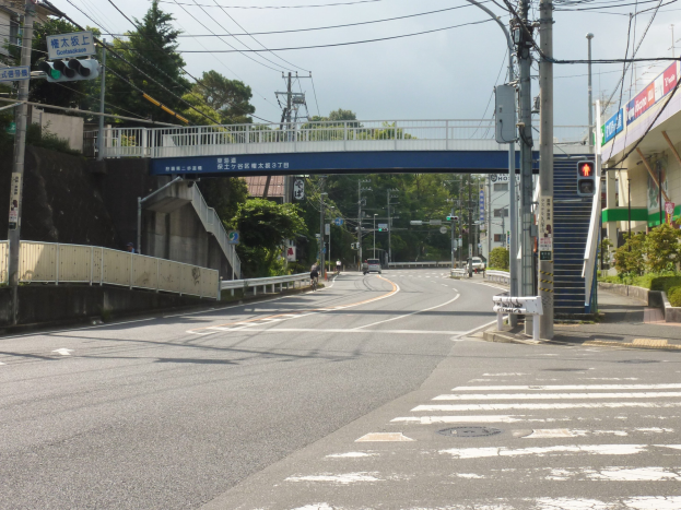 Eine Stadtstraße mit einer Fußgängerbrücke darüber, Fahrzeuge auf der Straße, Strommasten mit Drähten, Verkehrszeichen, Schilder, Gebäude mit Fenstern, Bäume, Pflanzen und ein Himmel im Hintergrund.