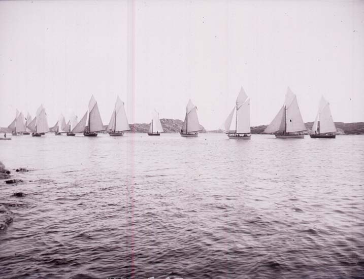 Schwarzes und weißes Foto von Segelbooten beim Rennen auf dem Wasser mit Hügeln im Hintergrund und einem klaren Himmel, beschriftet als New York Yacht Club.