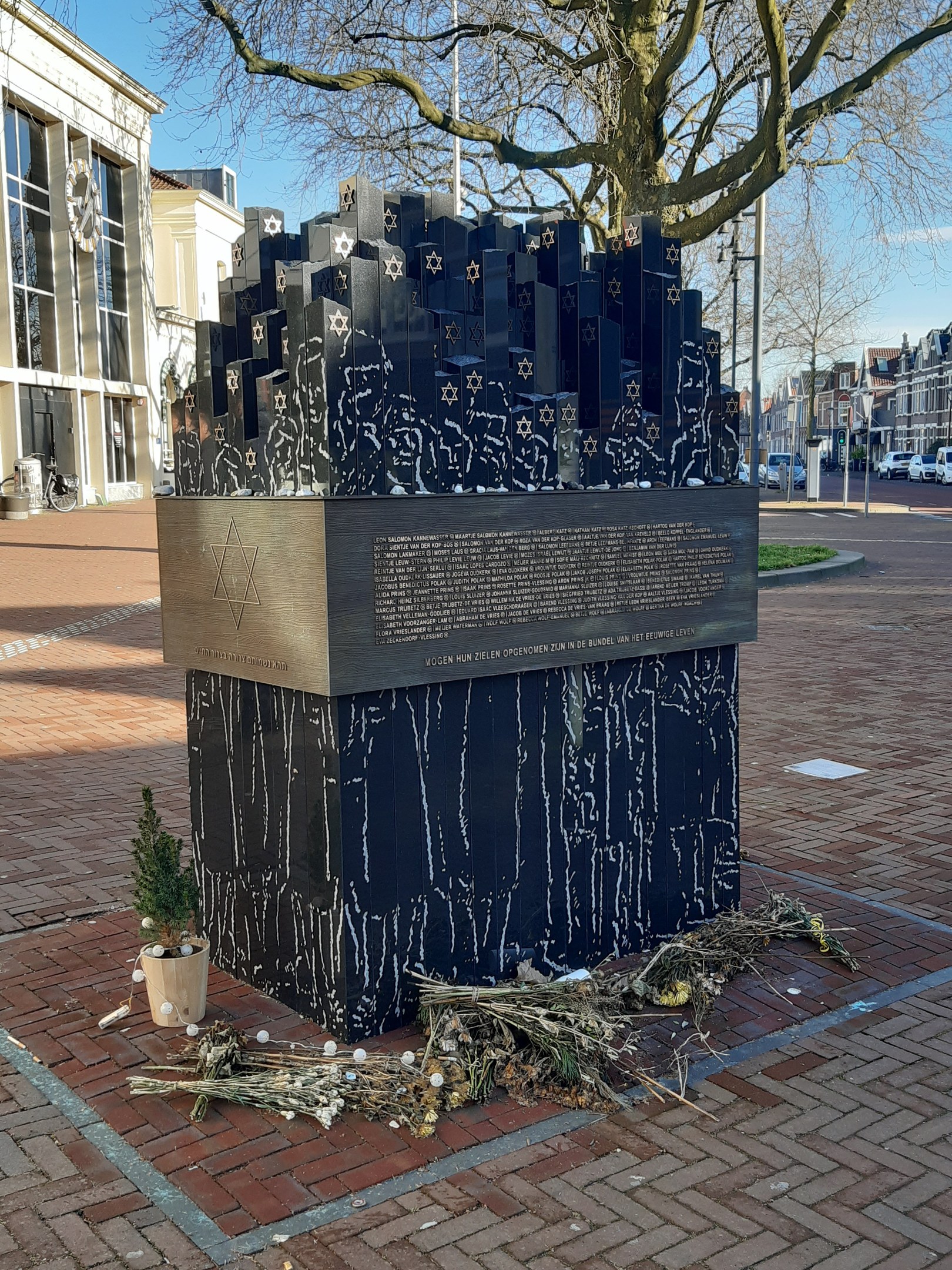 Denkmal in einem Stadtplatz für Holocaust-Opfer mit einem Baum davor, einem Topf mit einer Pflanze auf dem Boden, verstreuten trockenen Blättern und Gebäuden, Fahrzeugen, Masten und Bäumen im Hintergrund.