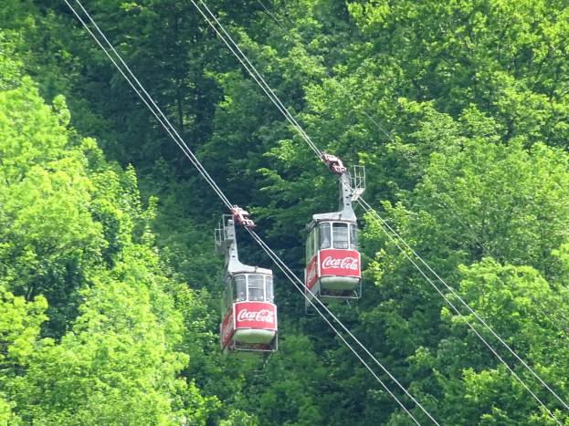 Zwei Seilbahnen steigen einen Berg hinauf, mit Text auf ihren Seiten, vor einem Hintergrund von Bäumen in der Nähe des Gipfels.